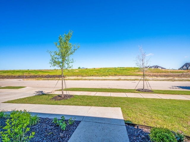 4208 Sunrise Ln, Celina, TX 75078 - view of grassy yard