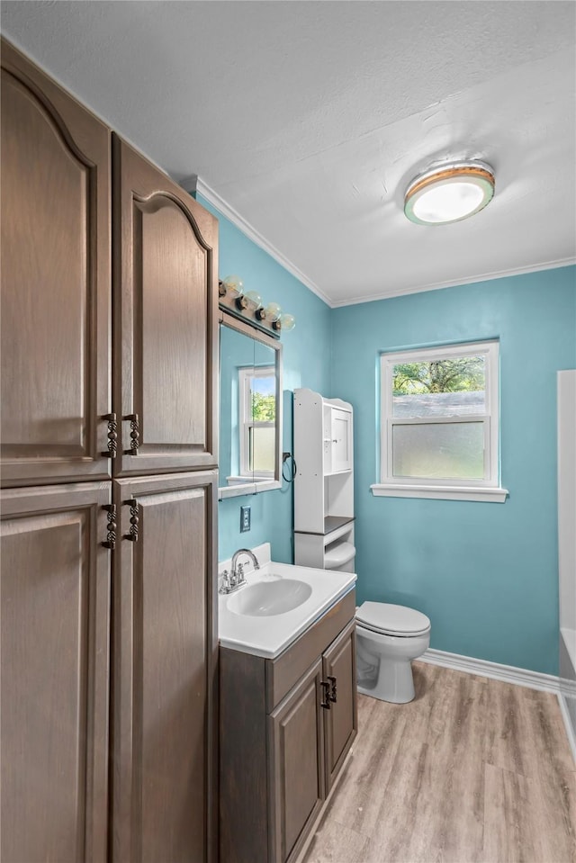 252 Brenda Dr, Shreveport, LA 71115 - bathroom featuring wood finished floors, toilet, vanity, plenty of natural light, and ornamental molding