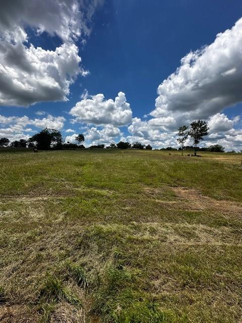 LOT18 Open Water Way, Streetman, TX 75859