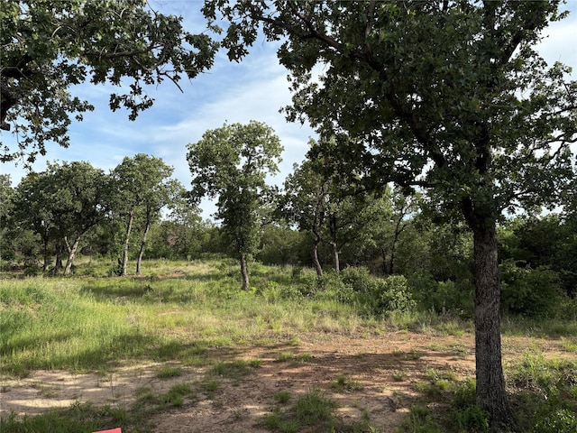 1017 Miller Dr, Mineral Wells, TX 76067 - view of local wilderness