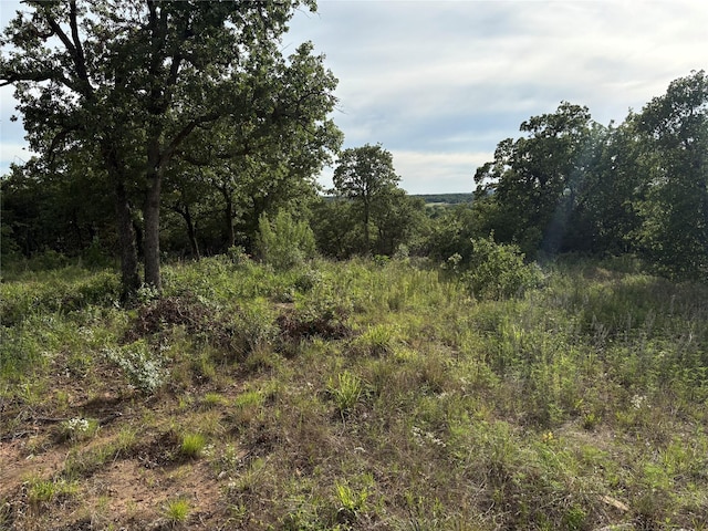 1017 Miller Dr, Mineral Wells, TX 76067 - view of local wilderness
