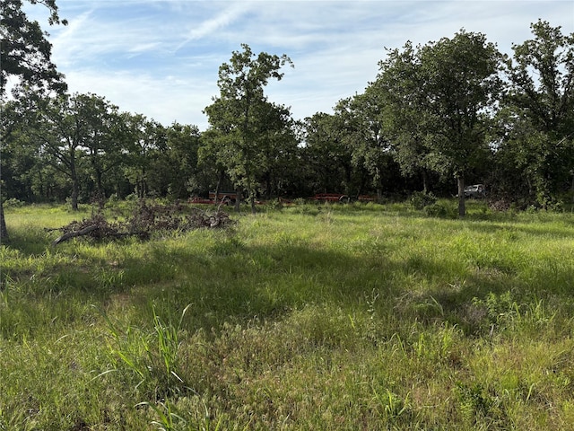 1017 Miller Dr, Mineral Wells, TX 76067 - view of woods