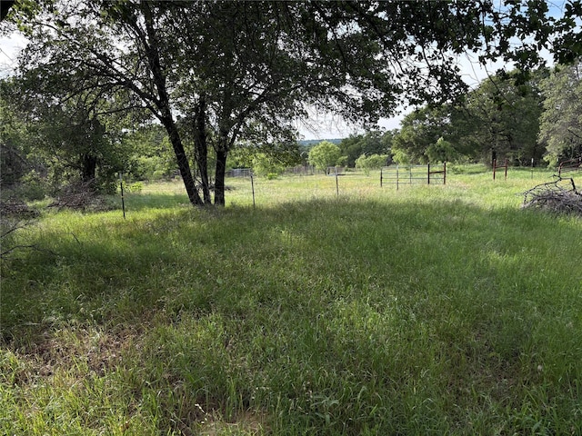 1017 Miller Dr, Mineral Wells, TX 76067 - view of yard