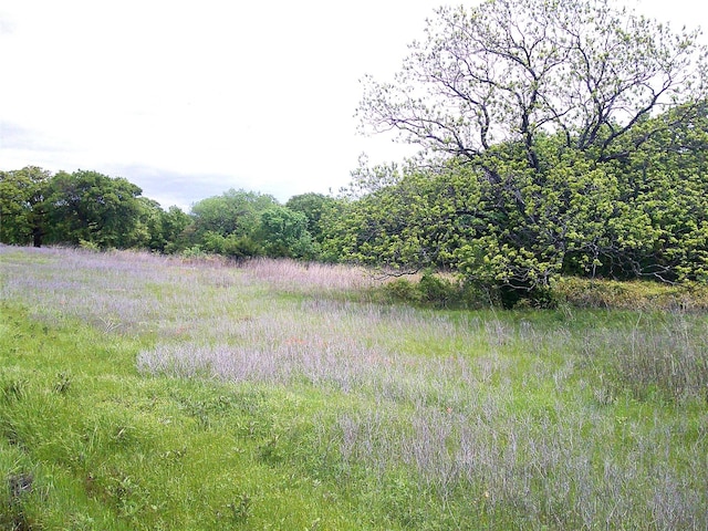 10AC Starr Mann, Saint Jo, TX 76265