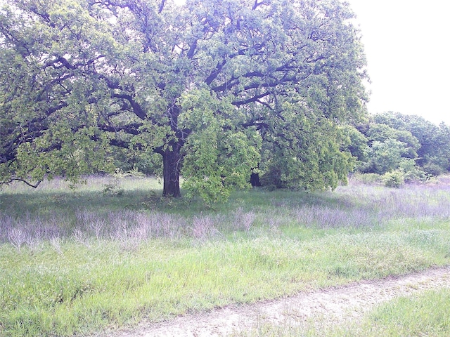 10AC Starr Mann, Saint Jo, TX 76265