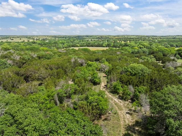 240 Stone Mountain Rd, Cresson, TX 76035 - bird's eye view of a heavily wooded area