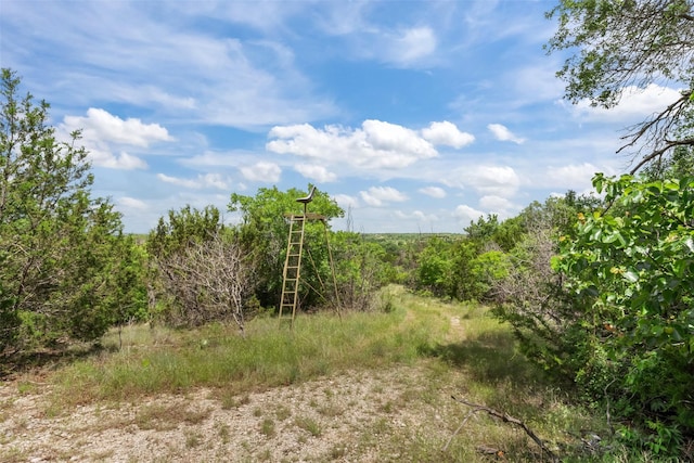 240 Stone Mountain Rd, Cresson, TX 76035 - view of nature
