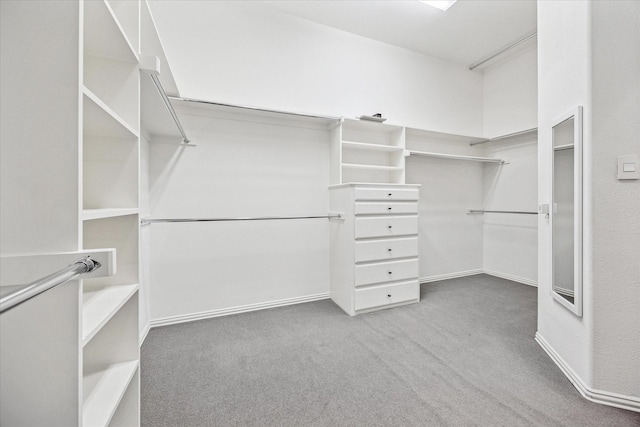 spacious closet featuring carpet flooring