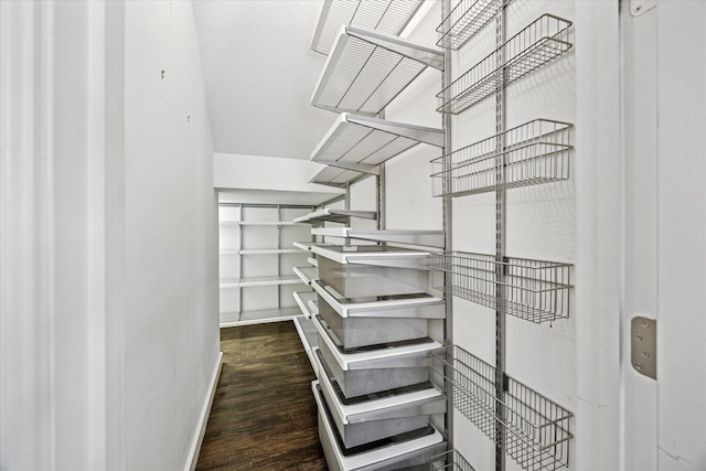 spacious closet featuring wood finished floors