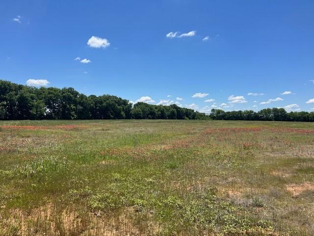 000CHISOLMTRAIL Chisolm Trl, Pottsboro, TX 75076