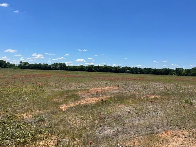 000CHISOLMTRAIL Chisolm Trl, Pottsboro, TX 75076