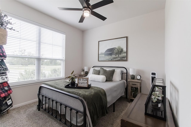 816 Killam Dr, Temple, TX 76502 - bedroom featuring multiple windows, carpet, baseboards, and a ceiling fan