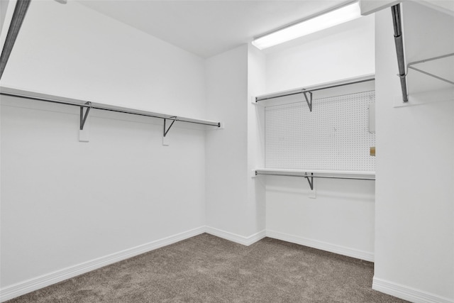 walk in closet featuring carpet