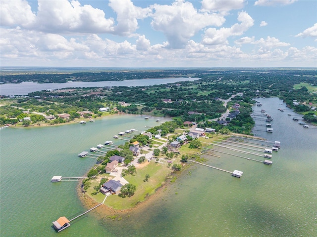 270 Hawk Ln, Brownwood, TX 76801 - aerial view of a large body of water
