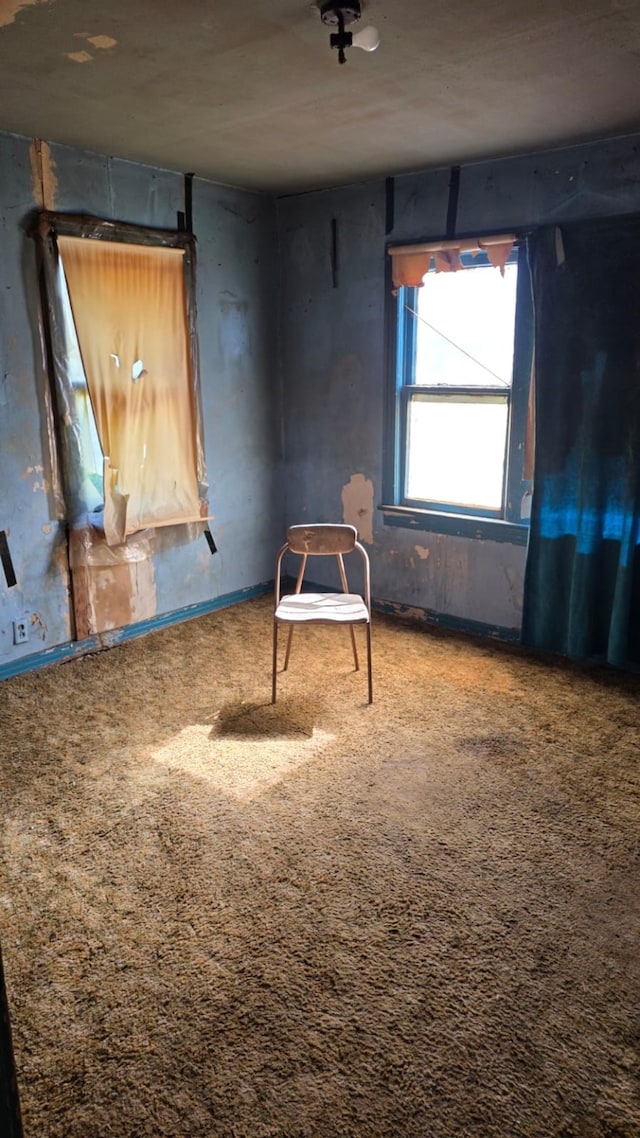 empty room featuring carpet
