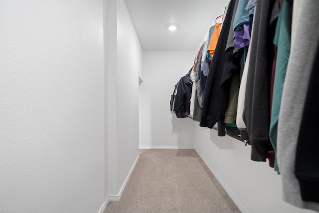 3934 Faulkner Ave, Celina, TX 76227 - walk in closet with carpet floors