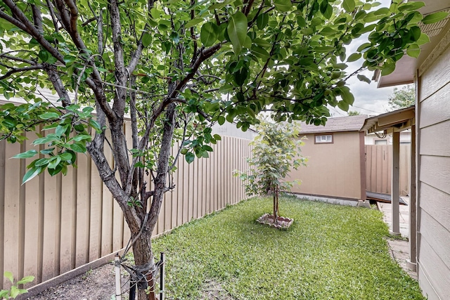 208 Lydia Cir, Irving, TX 75060 - view of yard