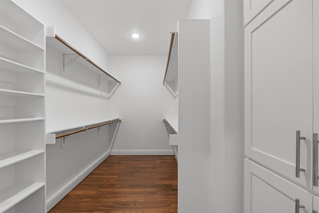 walk in closet with dark wood finished floors