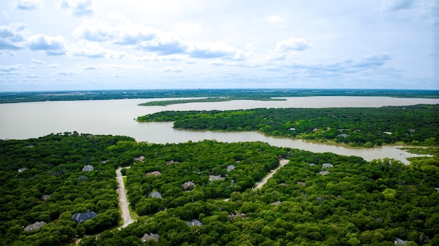 711 Pearl Cv, Oak Point, TX 75068 - drone / aerial view of a forest and a large body of water