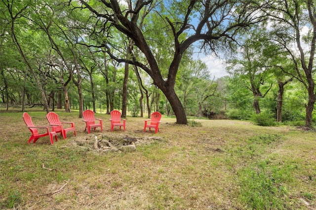 306 Winding Creek Ln, Mcgregor, TX 76657 - view of yard