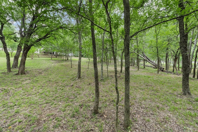 306 Winding Creek Ln, Mcgregor, TX 76657 - view of green lawn