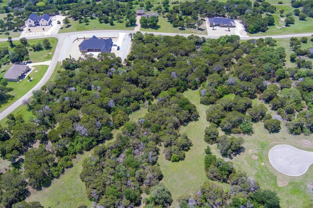 6224 Leven Link Ct, Cleburne, TX 76033