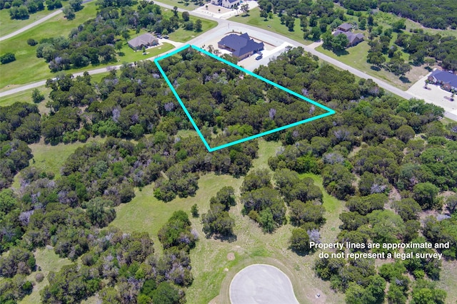 6224 Leven Link Ct, Cleburne, TX 76033