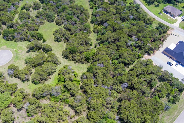 6224 Leven Link Ct, Cleburne, TX 76033