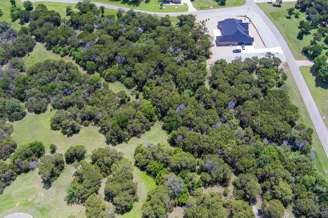6224 Leven Link Ct, Cleburne, TX 76033