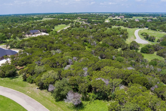 6224 Leven Link Ct, Cleburne, TX 76033