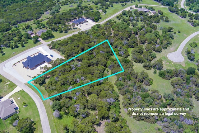6224 Leven Link Ct, Cleburne, TX 76033