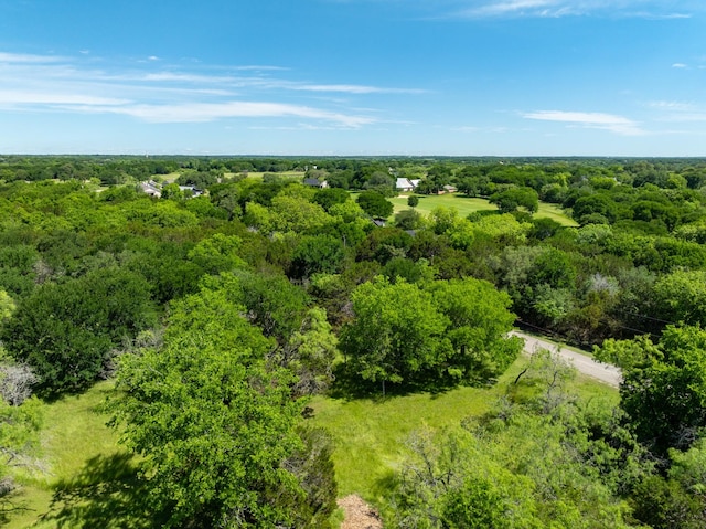 17145 Woodlawn Dr, Whitney, TX 76692