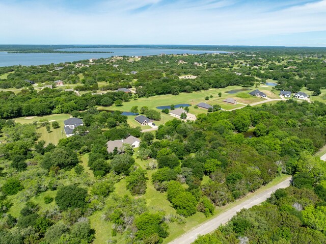17145 Woodlawn Dr, Whitney, TX 76692