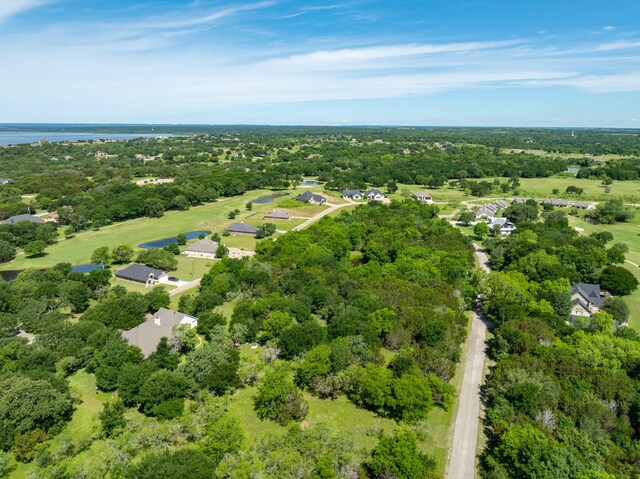 17145 Woodlawn Dr, Whitney, TX 76692