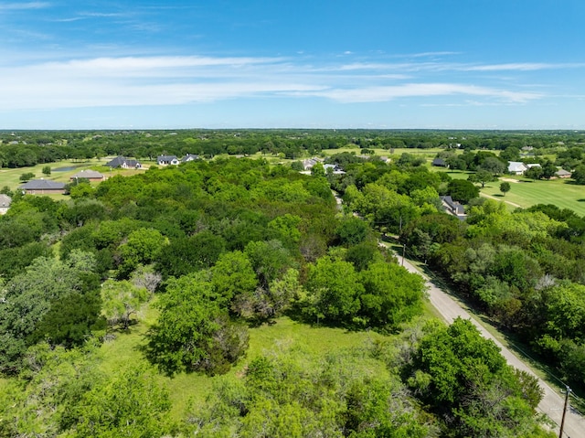 17145 Woodlawn Dr, Whitney, TX 76692