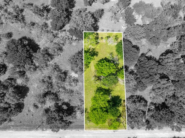 17145 Woodlawn Dr, Whitney, TX 76692