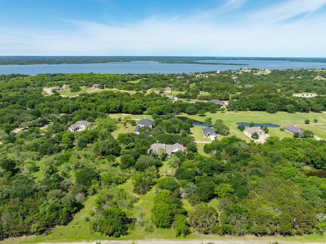 17145 Woodlawn Dr, Whitney, TX 76692