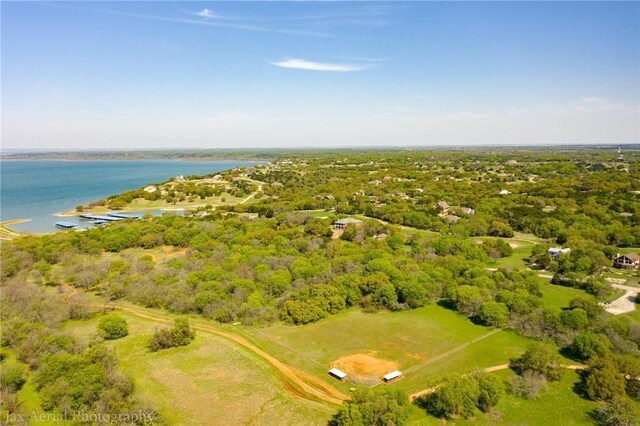 17145 Woodlawn Dr, Whitney, TX 76692