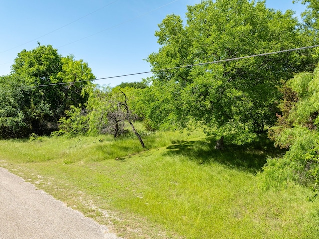 17145 Woodlawn Dr, Whitney, TX 76692