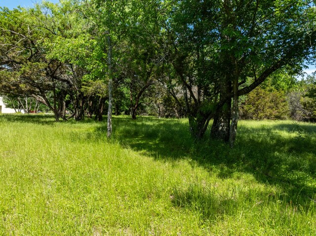 17145 Woodlawn Dr, Whitney, TX 76692