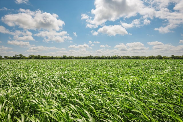 12097 Kyle Ln, Blue Ridge, TX 75424 - view of undeveloped land featuring large plots for crops and rural landscape
