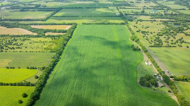 12097 Kyle Ln, Blue Ridge, TX 75424 - view of rural area featuring rows of crops