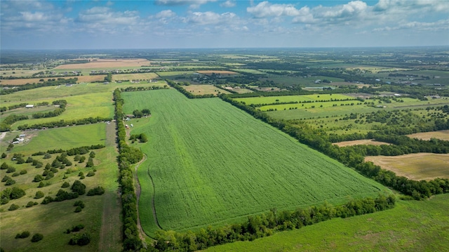 12097 Kyle Ln, Blue Ridge, TX 75424 - view of rural area with rows of crops