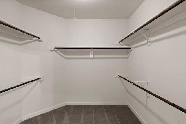 2024 Kraft St, Dallas, TX 75212 - walk in closet with dark carpet