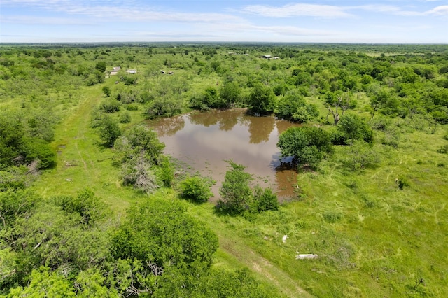 105 County Road 1001, Wortham, TX 76693