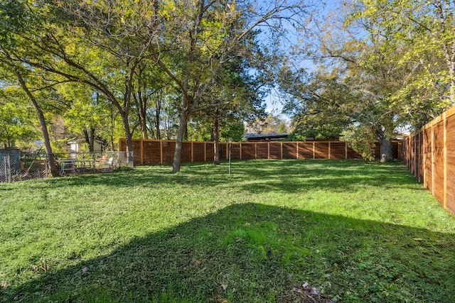 view of yard