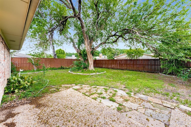 view of yard featuring a patio