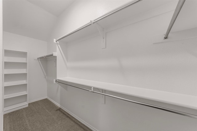 425 Tobin Dr, Seagoville, TX 75159 - spacious closet with dark colored carpet