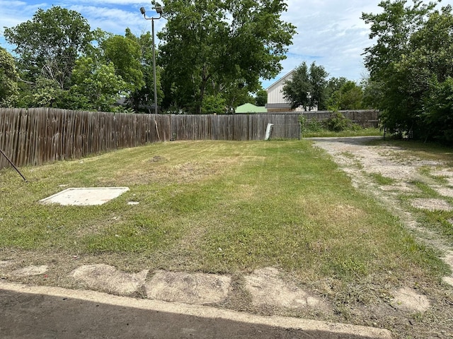 1720 Bagby Ave, Waco, TX 76706 - view of yard