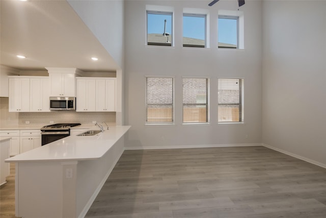 4118 Beale St, Heartland, TX 75114 - kitchen with stainless steel appliances, a sink, ceiling fan, wood finished floors, and a towering ceiling